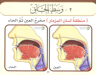 Quran pronunciation diagrams showing tongue positions for Arabic letters.