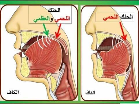 Diagram showing correct and incorrect pronunciation points in Quran recitation.