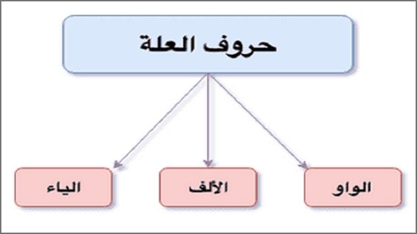 Diagram showing Arabic vowel letters used in Quran recitation.